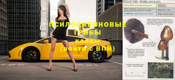 прущие крисы Абинск
