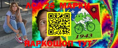 гидропоника Будённовск