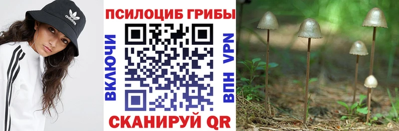 MEGA ONION  магазин продажи   Каменск-Шахтинский  Псилоцибиновые грибы мицелий 