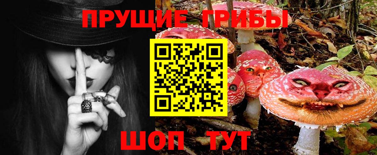 Каменск-Шахтинский  Псилоцибиновые грибы прущие грибы  Псилоцибиновые грибы GOLDEN TEACHER  Вход с VPN 